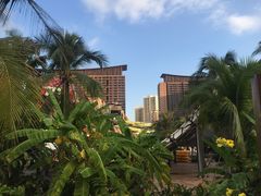 -亚马逊丛林水乐园