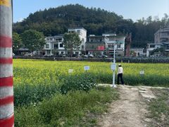 -红山村