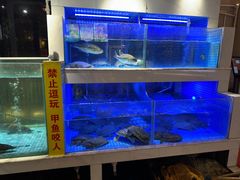 -王捌小院(红花坡店)