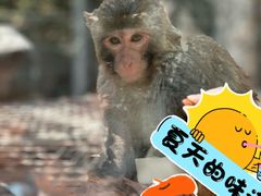 -北宫国家森林公园