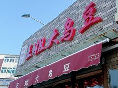 -洪湖里王姐大乌豆