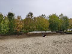 -东郊湿地公园