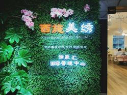 -西施无菌半永久纹绣眉眼影唇轻增发纹发际线