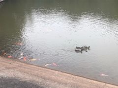 -滴水岩森林公园
