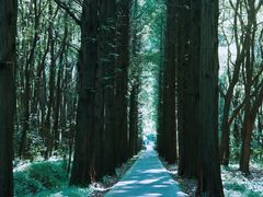 -同里国家湿地公园