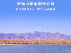 -野鸭湖国家湿地公园