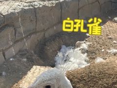-太原动物园