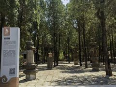 -四门塔风景区