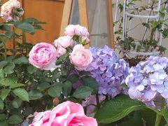 -章太炎故居