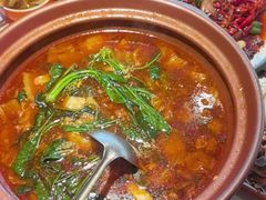 -杨氏青龙虾·羊肉季(金盛路总店)