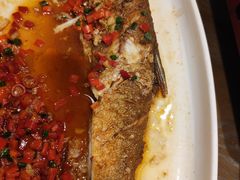 -肖记公安牛肉鱼杂馆· 省级非物质文化遗产(仁和路店)