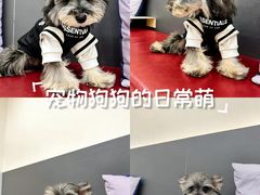 -御宝贝24h宠物医院·转诊中心·CT核磁血透中心(厦门总院)