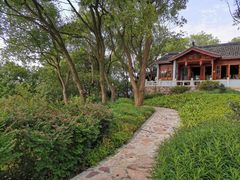 -上海市保健医疗中心