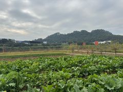 -增城大丰门漂流