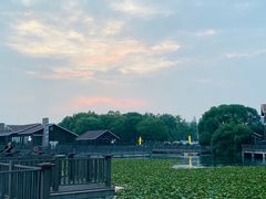 -新木器时代餐厅(太湖新天地店)