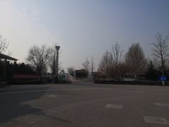 -大兴滨河森林公园