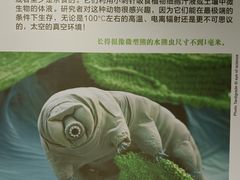 -大连自然博物馆
