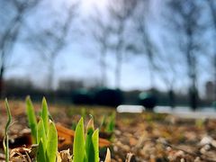 景点-朝阳公园