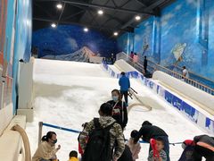 -Mr·Kuma酷么先生雪之乐园