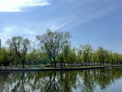 -莱西月湖公园