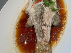 -红高粱大酒店(宁山东路店)