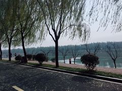 -洨河生态公园