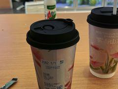 -雾与山茶(大禹城店)