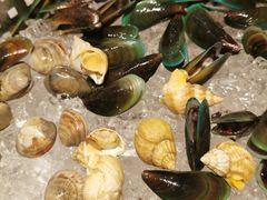 -马哥孛罗咖啡厅·Cafe Marco (厦门马哥孛罗东方大酒店)