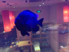 -琴寿司居酒屋(软件园店)