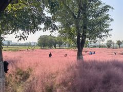 -汉长安城未央宫国家考古遗址公园