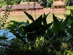 -曼听御花园