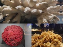 -天津自然博物馆