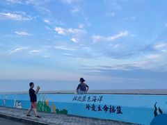 -南汇嘴观海公园