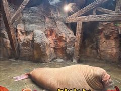 -波塞冬旅游度假区
