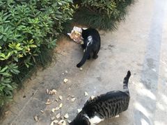 -七浦路服装批发市场