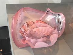 -康宁玻璃博物馆