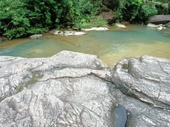 -广州白江湖森林公园