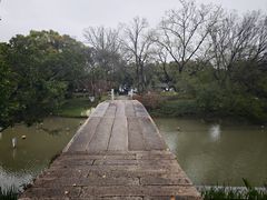 -江心屿景区