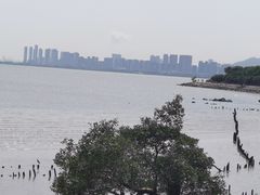 -深圳湾公园(南山区)