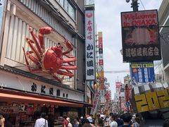 -蟹道乐(道顿堀本店)