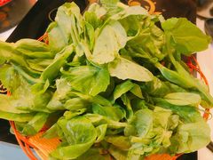 -鲜入围煮花胶鸡海鲜火锅