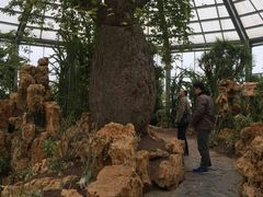 -南通洲际绿博园