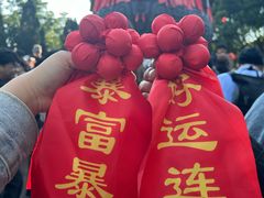 -鼎香皇高佬苏裹蒸粽