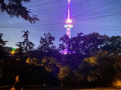 -青岛电视塔