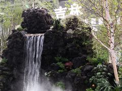 -东平国家森林公园