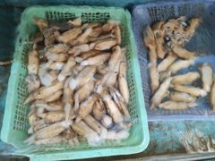 -老福洲(西洪路店)