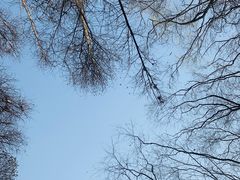 -昆山城市生态森林公园