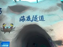 -乌鲁木齐海洋馆