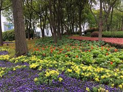 -北外滩滨江绿地