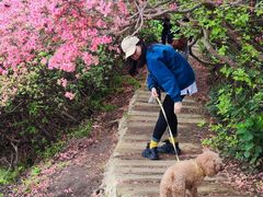 -木兰云雾山